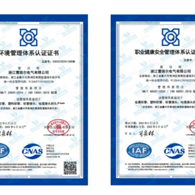 雷諾爾電氣順利通過ISO14001和ISO45001環境、安全管理體系認證